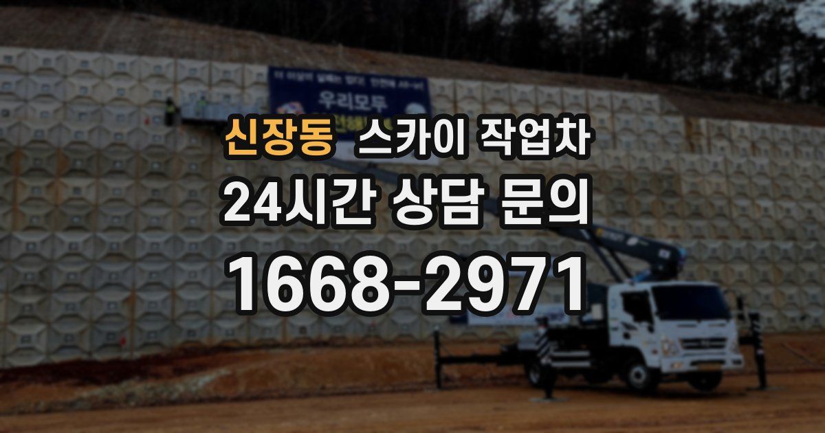 신장동 스카이 작업차