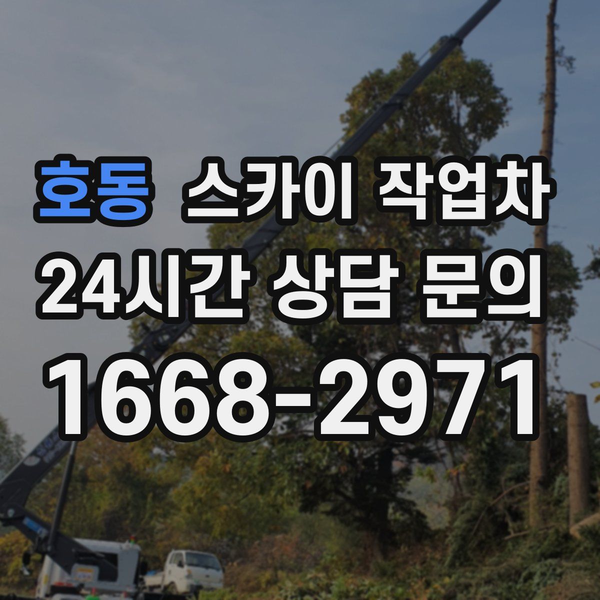 호동 스카이 작업차