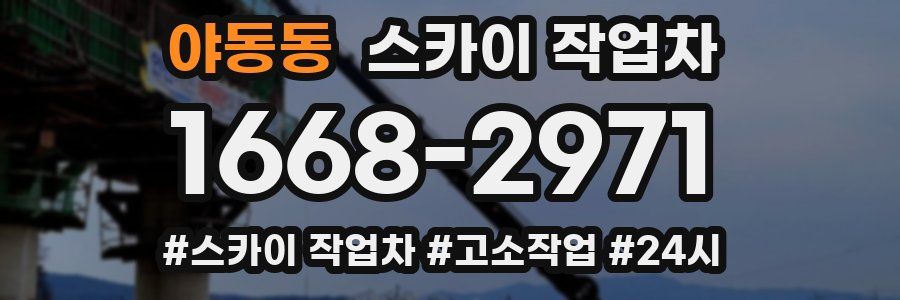 야동동 스카이 작업차