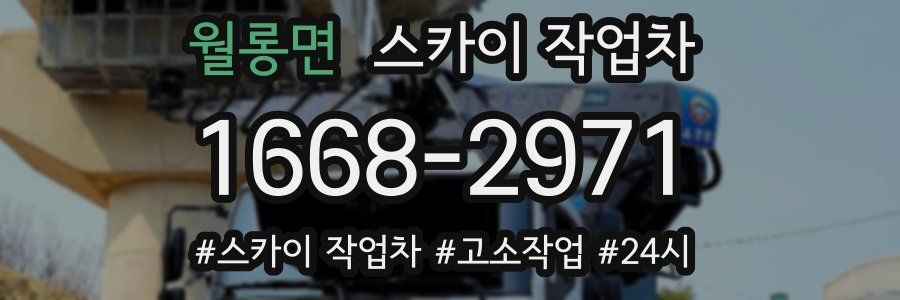 월롱면 스카이 작업차