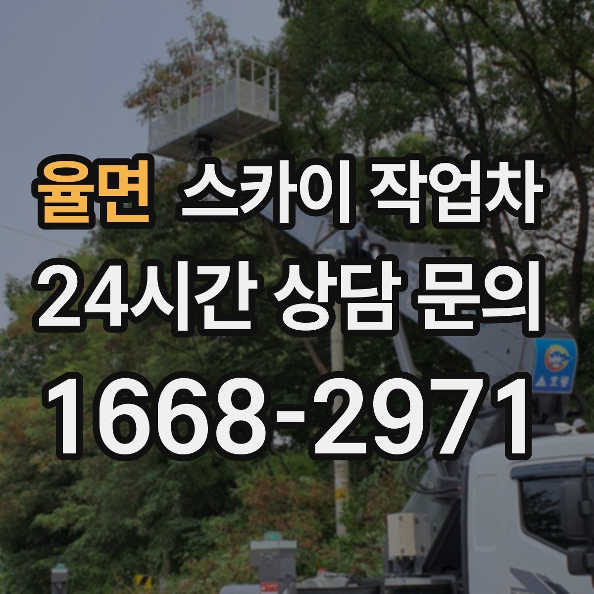 율면 스카이 작업차 장비 위치 선정이 작업 결과를 좌우합니다