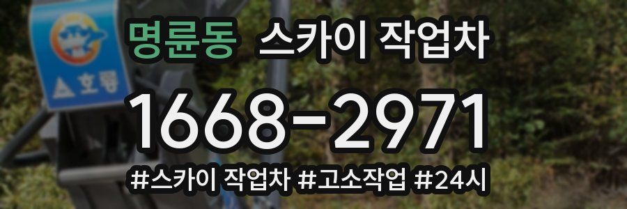 명륜동 스카이 작업차