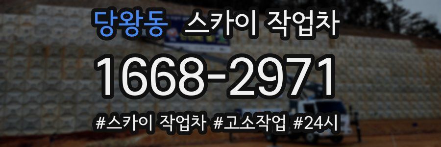 당왕동 스카이 작업차