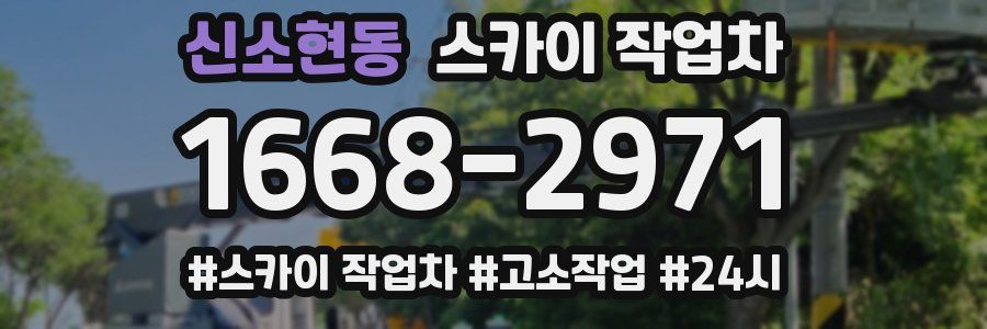 신소현동 스카이 작업차
