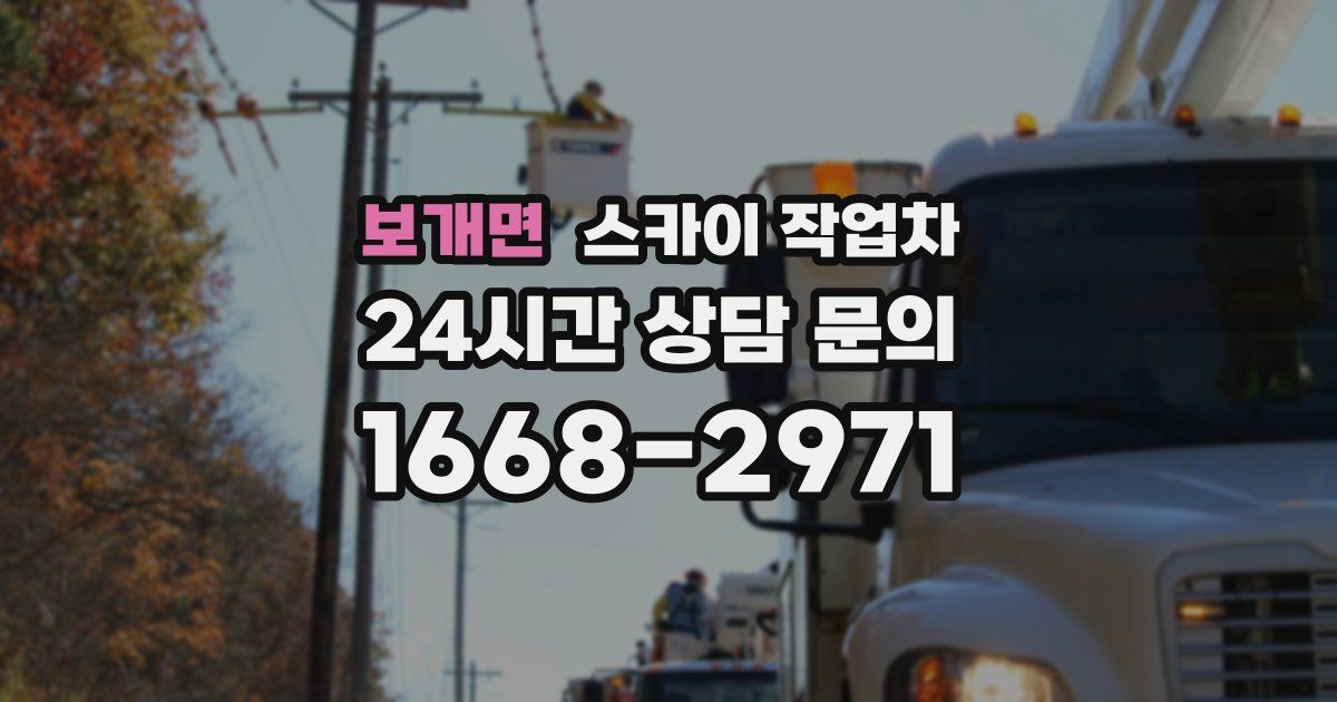 보개면 스카이 작업차