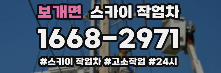 보개면 스카이 작업차