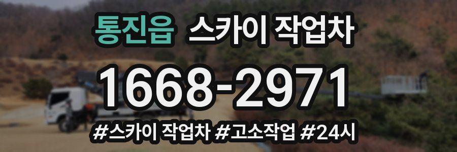 통진읍 스카이 작업차