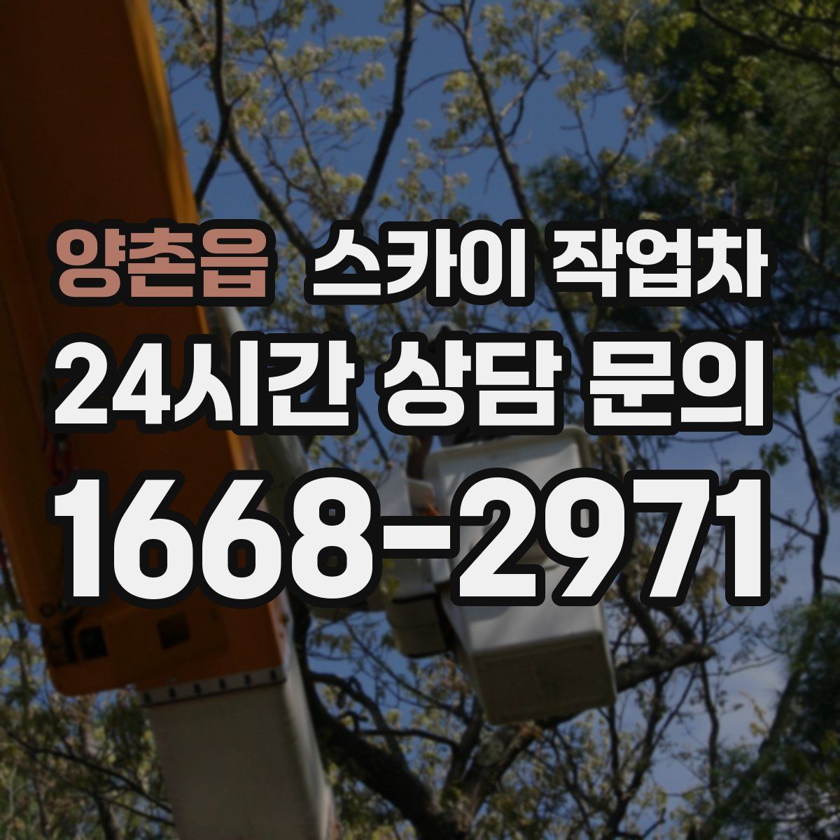 양촌읍 스카이 작업차