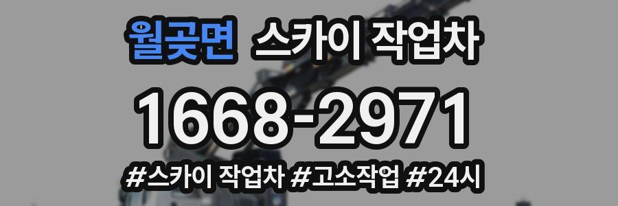 월곶면 스카이 작업차