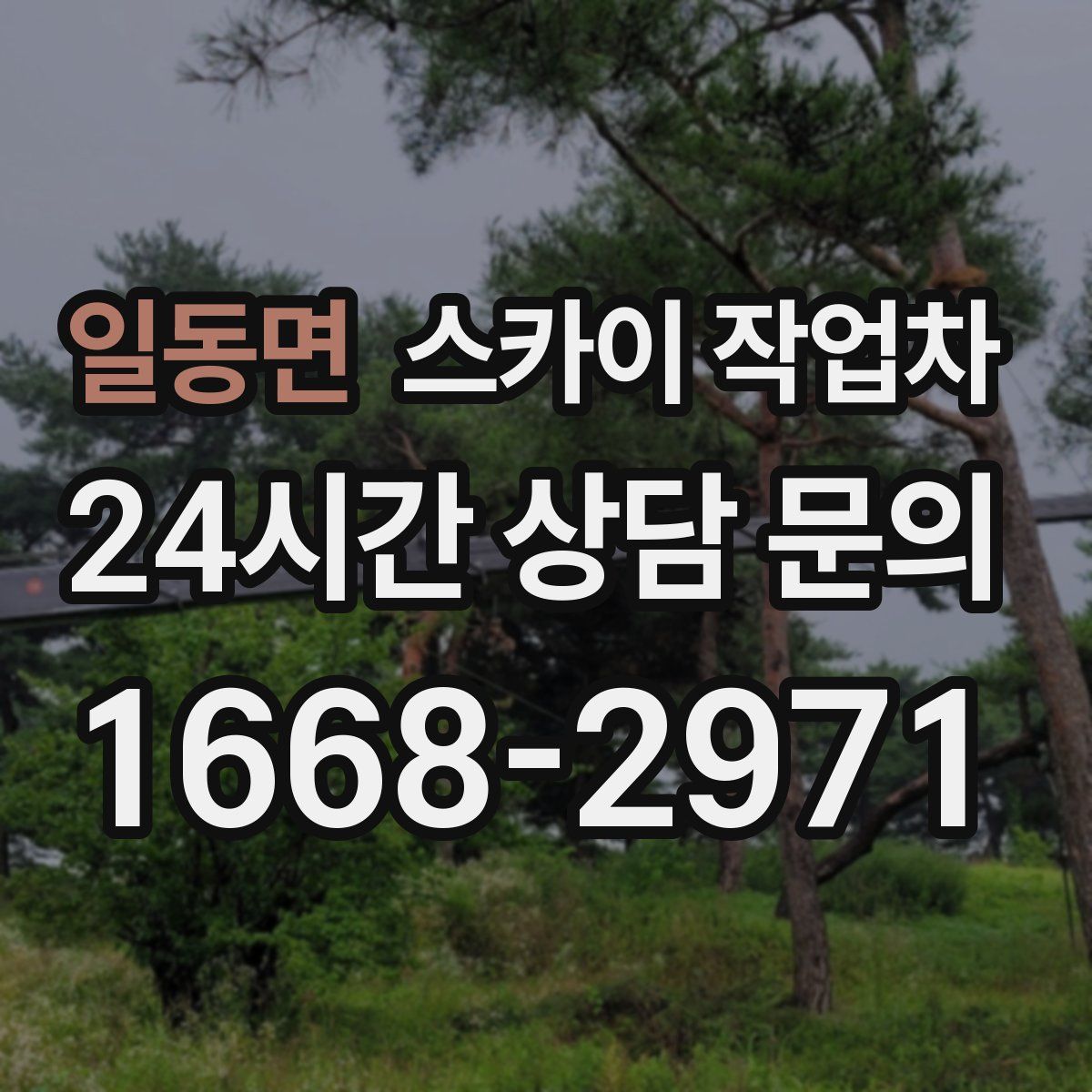 일동면 스카이 작업차