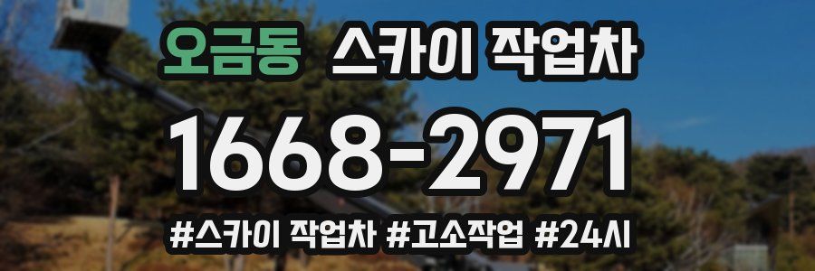 오금동 스카이 작업차
