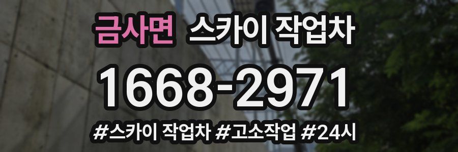 금사면 스카이 작업차