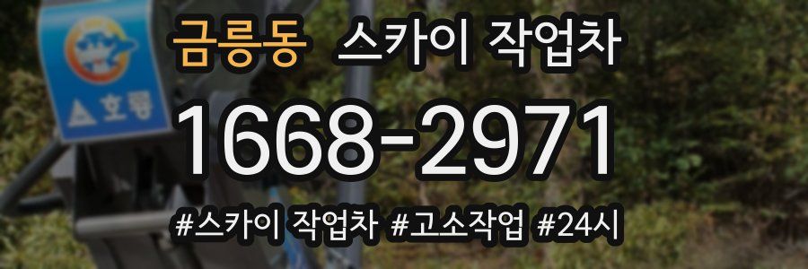 금릉동 스카이 작업차