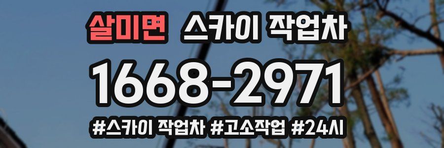 살미면 스카이 작업차