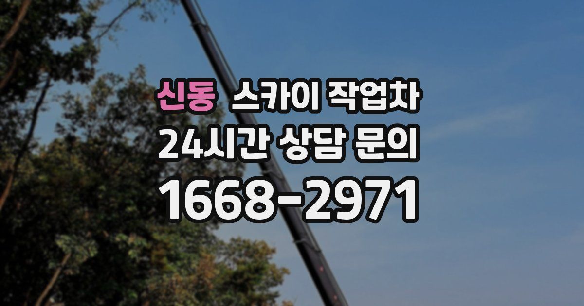 신동 스카이 작업차