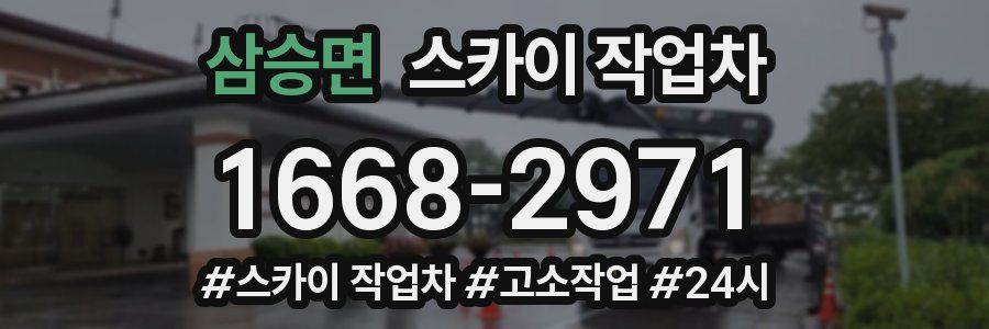 삼승면 스카이 작업차