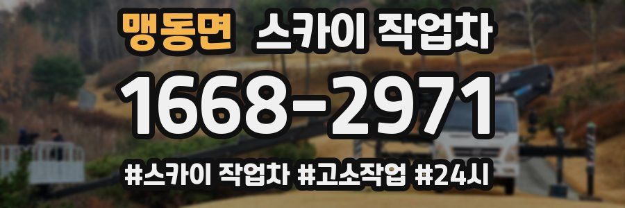 맹동면 스카이 작업차