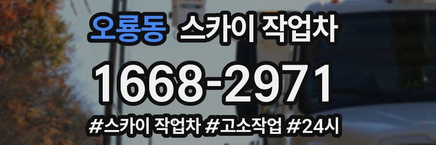 오룡동 스카이 작업차