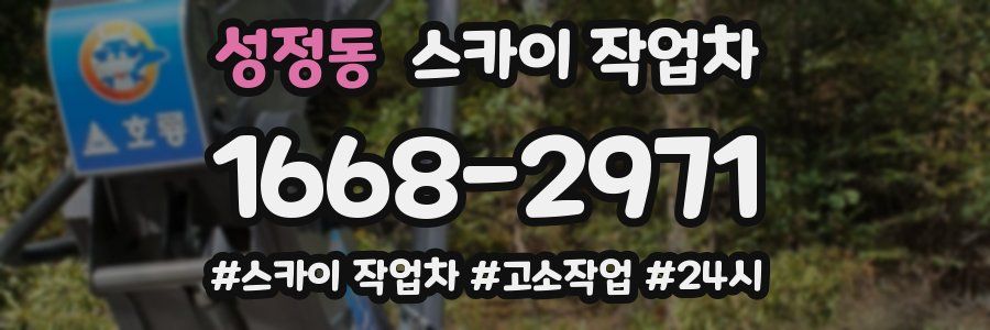 성정동 스카이 작업차