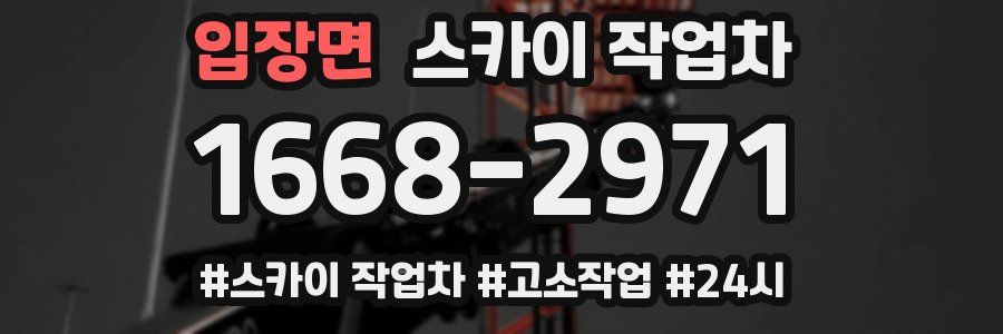 입장면 스카이 작업차