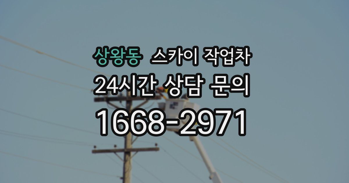 상왕동 스카이 작업차