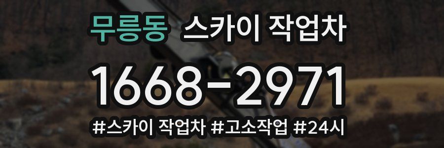 무릉동 스카이 작업차