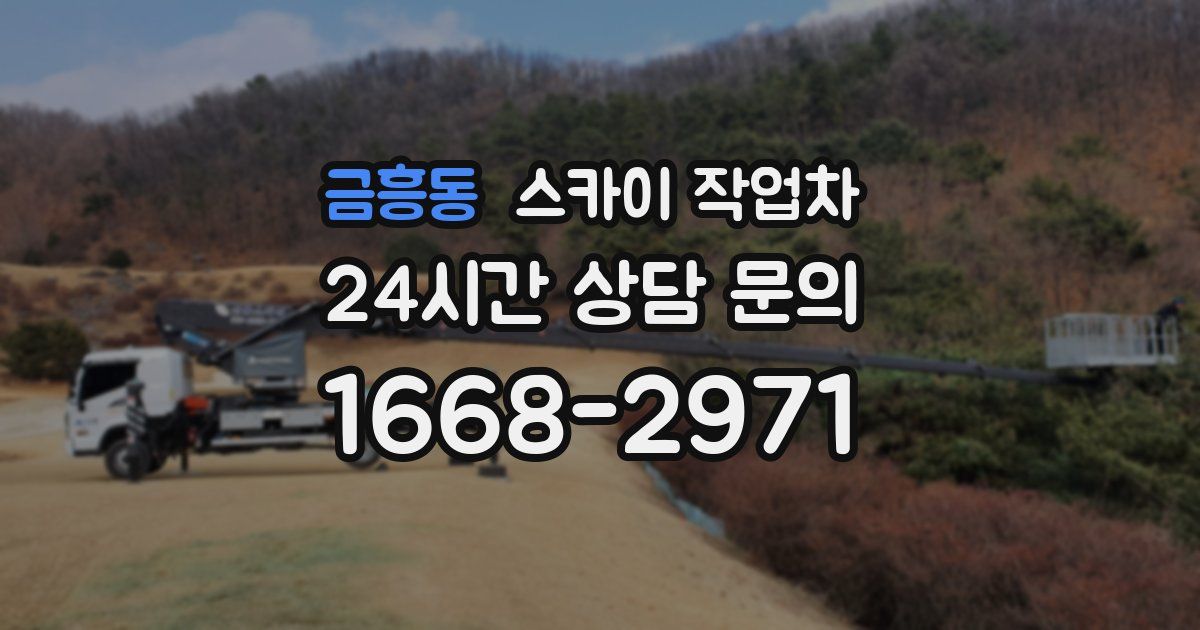 금흥동 스카이 작업차