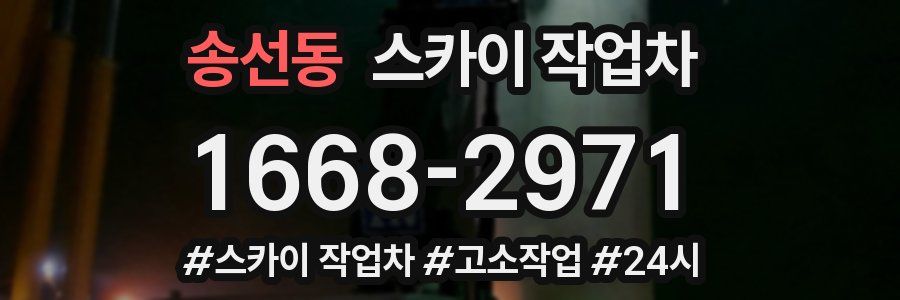 송선동 스카이 작업차