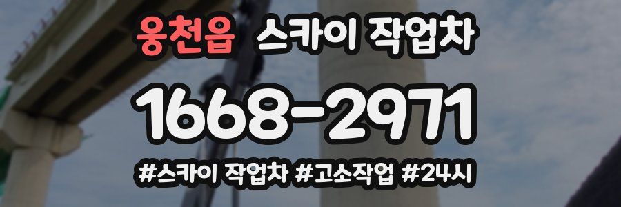 웅천읍 스카이 작업차