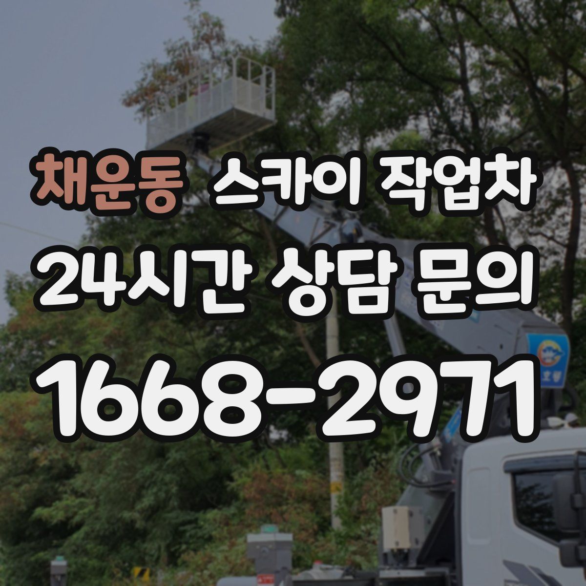 채운동 스카이 작업차