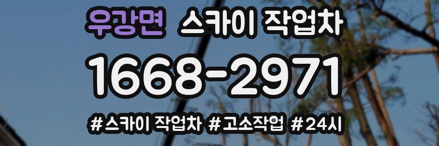 우강면 스카이 작업차