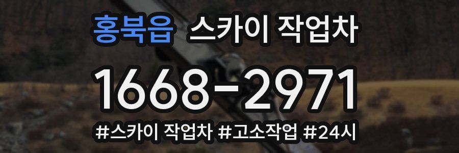 홍북읍 스카이 작업차