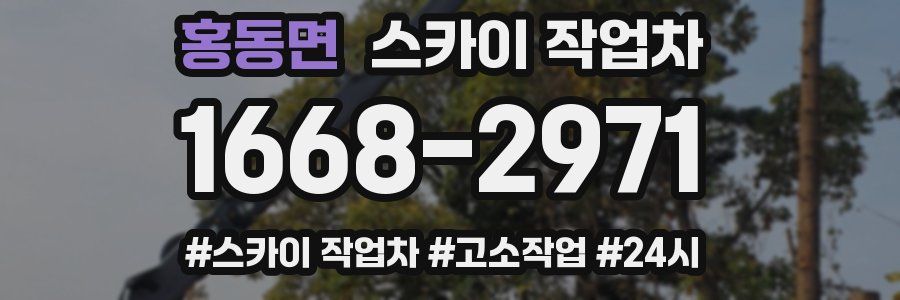홍동면 스카이 작업차