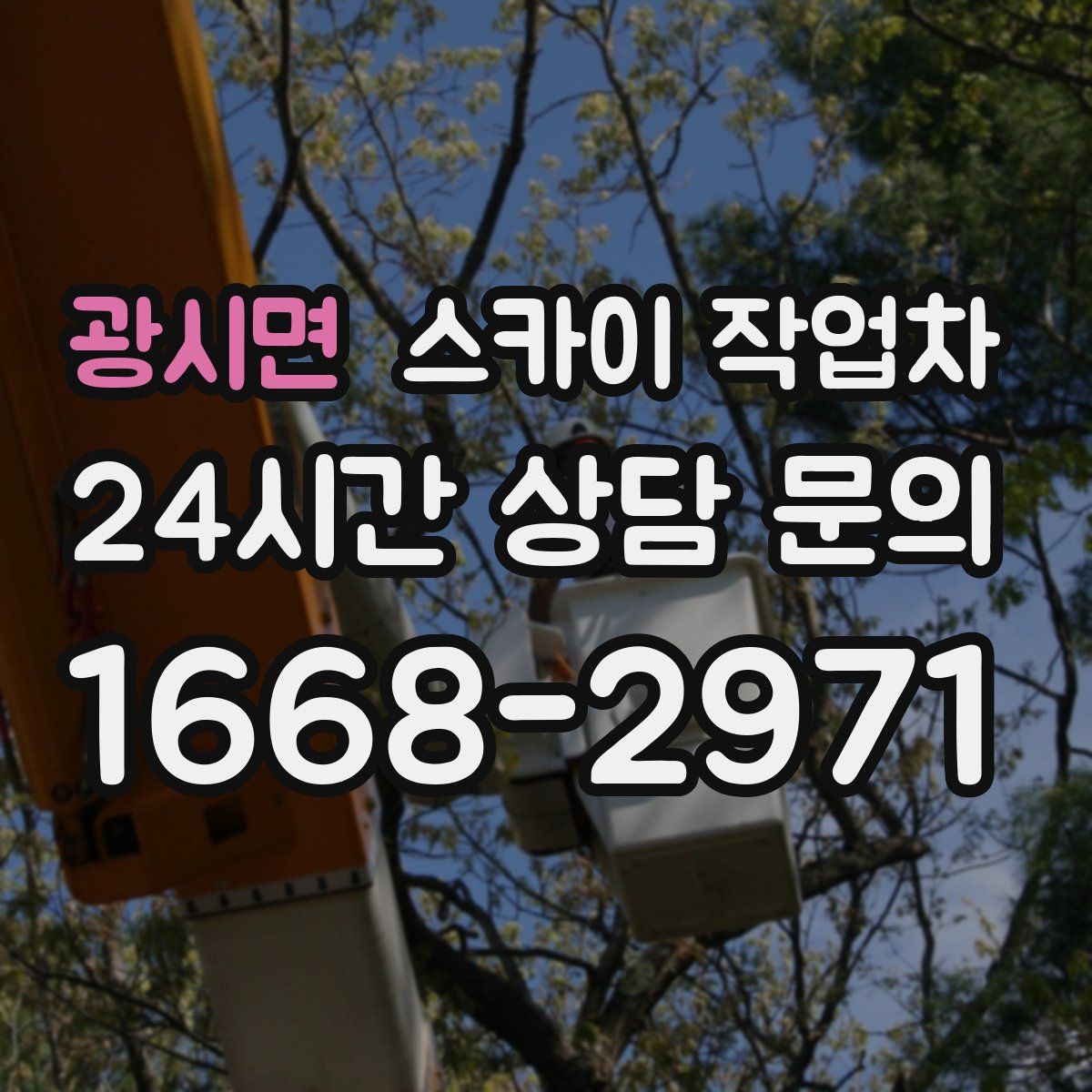 광시면 스카이 작업차