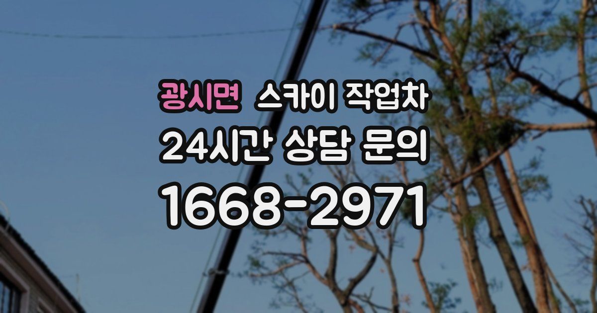 광시면 스카이 작업차