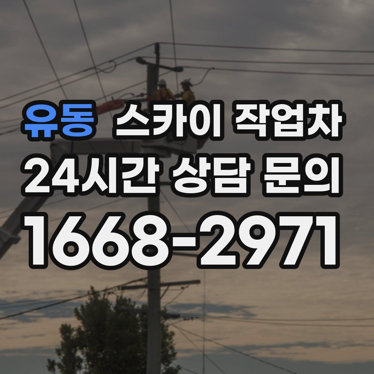 유동 스카이 작업차