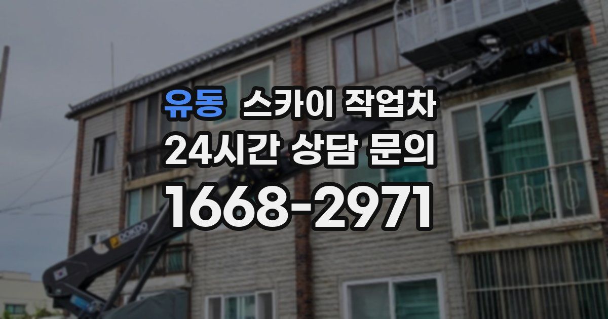 유동 스카이 작업차