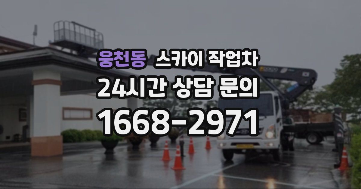 웅천동 스카이 작업차