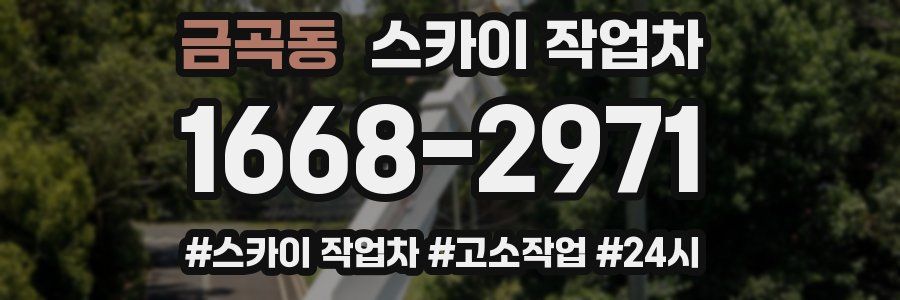 금곡동 스카이 작업차