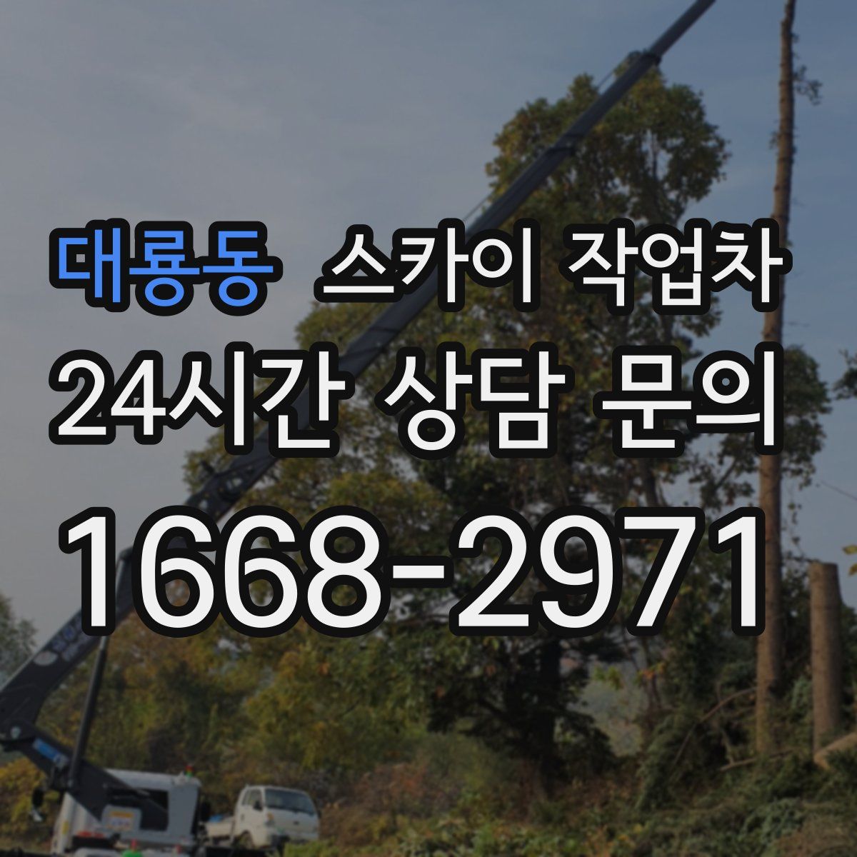 대룡동 스카이 작업차