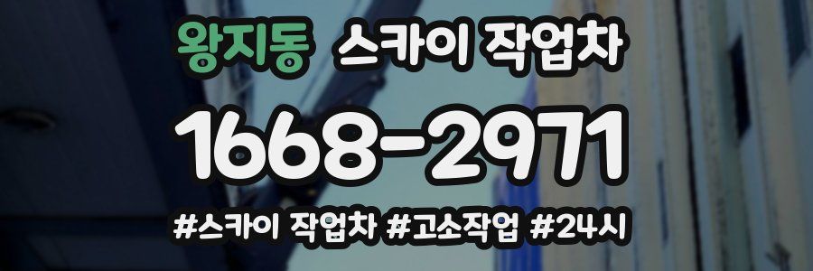 왕지동 스카이 작업차