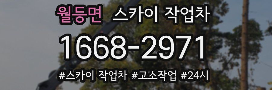 월등면 스카이 작업차