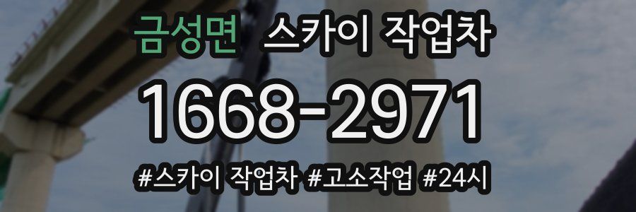 금성면 스카이 작업차