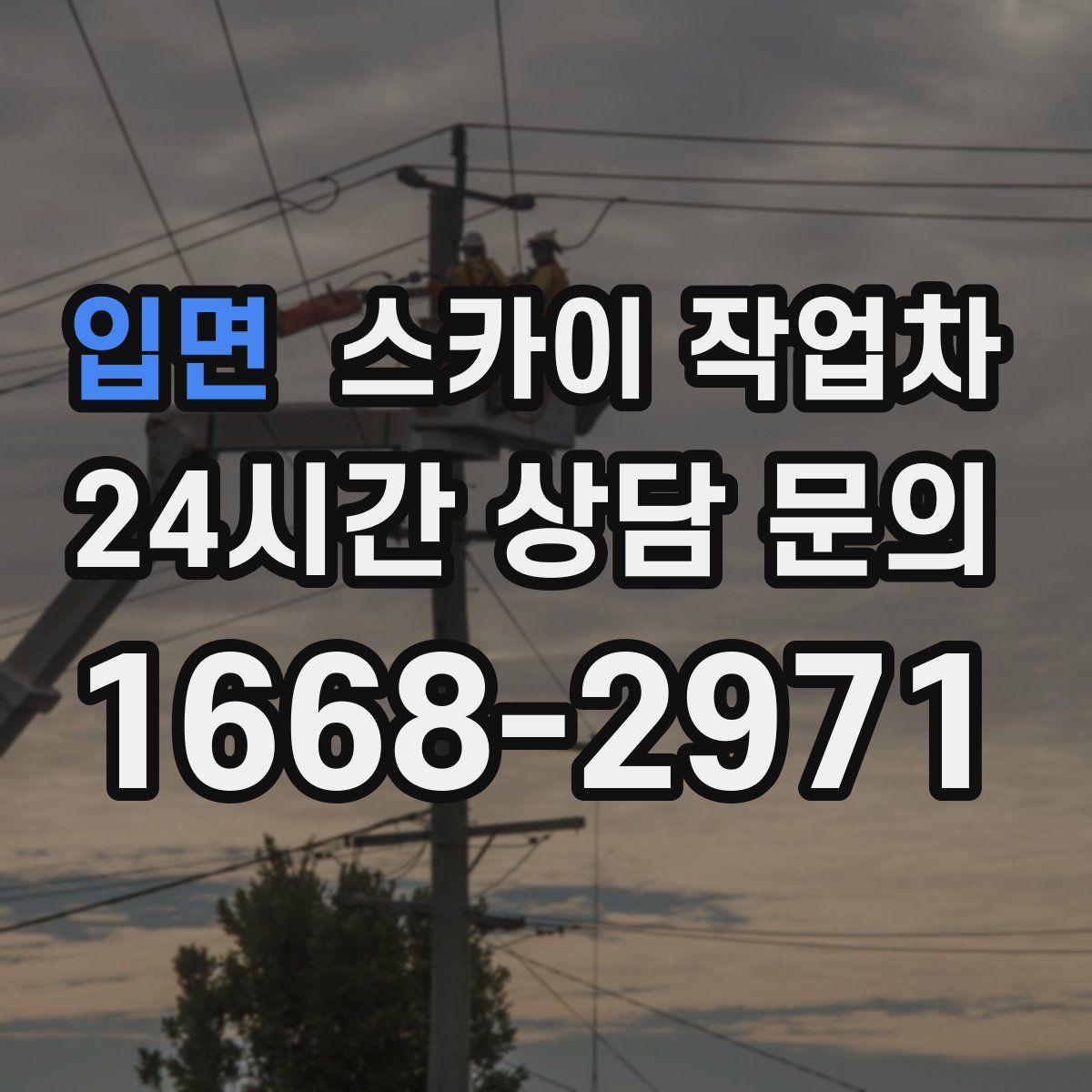 입면 스카이 작업차