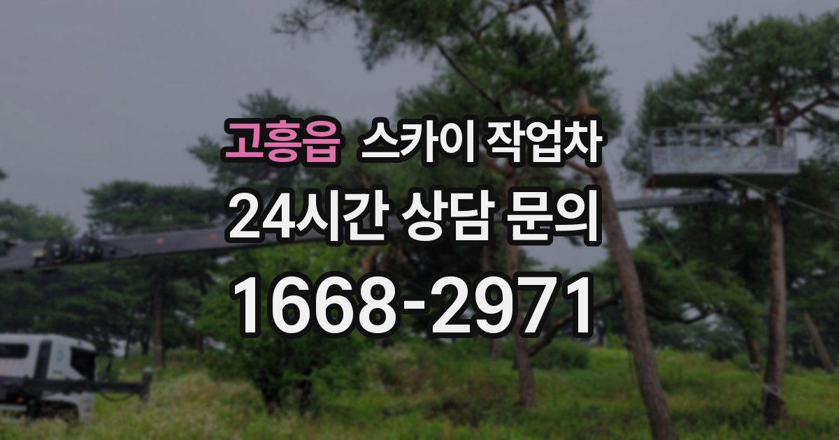 고흥읍 스카이 작업차