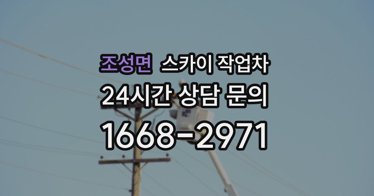 조성면 스카이 작업차