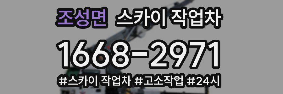 조성면 스카이 작업차