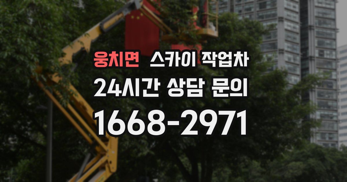 웅치면 스카이 작업차