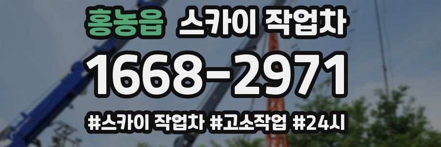 홍농읍 스카이 작업차