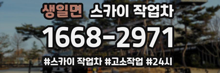 생일면 스카이 작업차